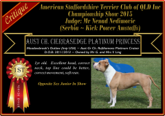 Class 4a ~ 1st ~ Cierrasedge Platinum Princess.png